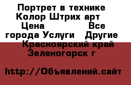 Портрет в технике “Колор-Штрих-арт“ › Цена ­ 250-350 - Все города Услуги » Другие   . Красноярский край,Зеленогорск г.